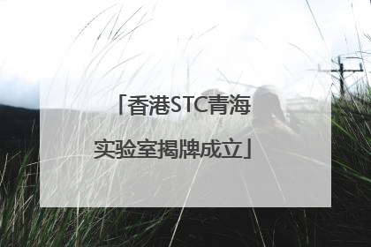 香港STC青海实验室揭牌成立